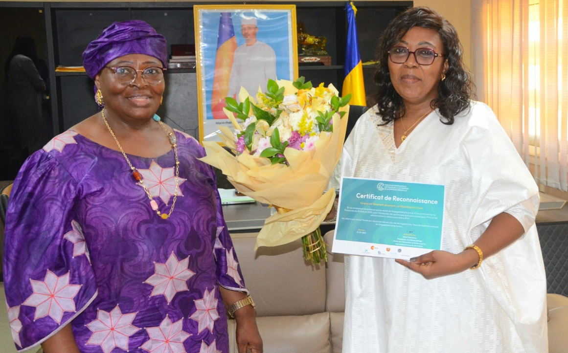 Leadership sanitaire : le Tchad honoré à Maputo