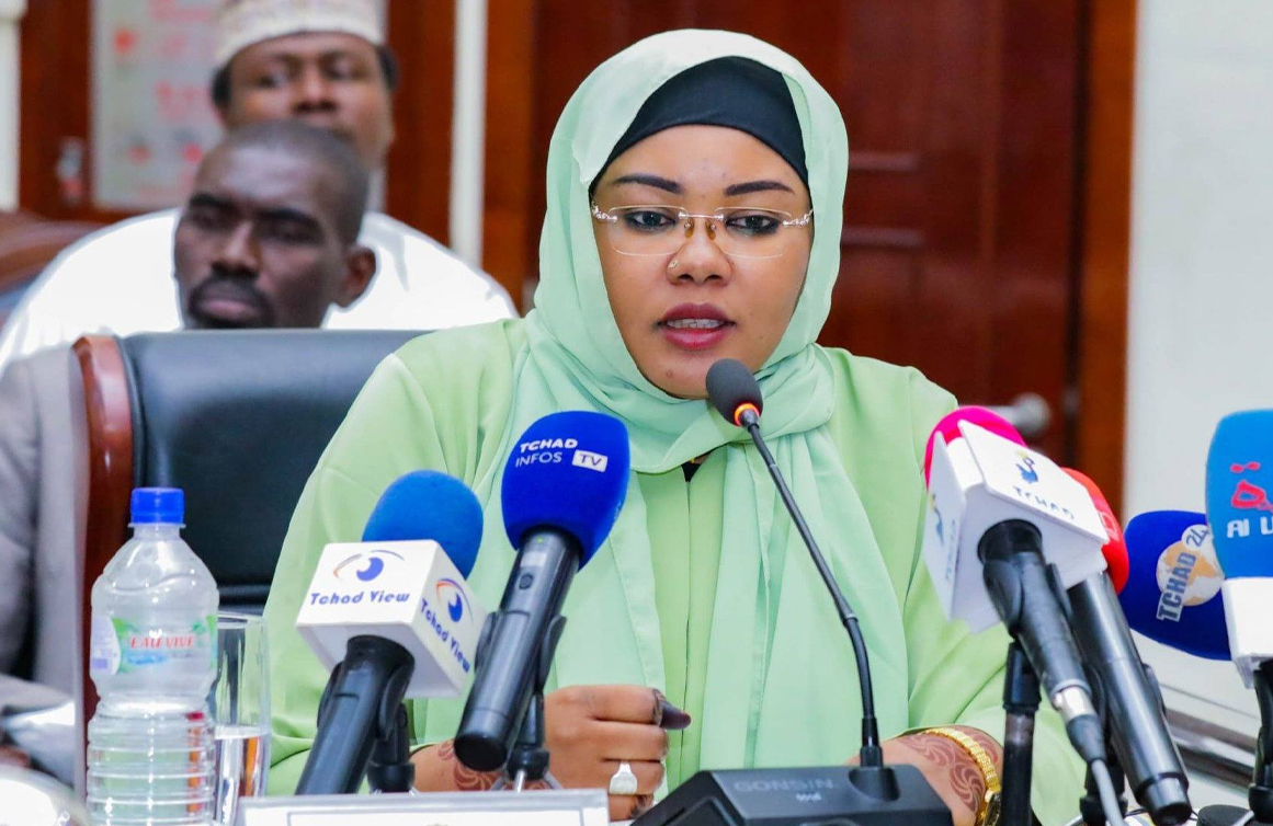 Tchad : le projet de loi portant restructuration du FNS adopté