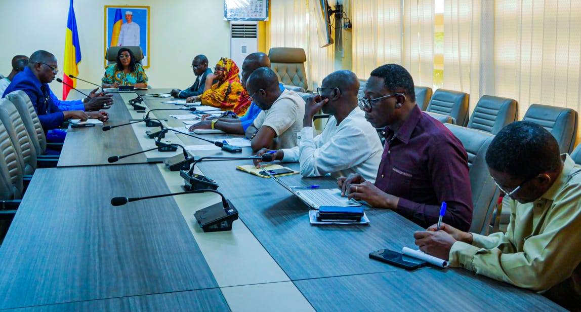 Santé : les tradipraticiens tchadiens sollicitent le soutien de l’État
